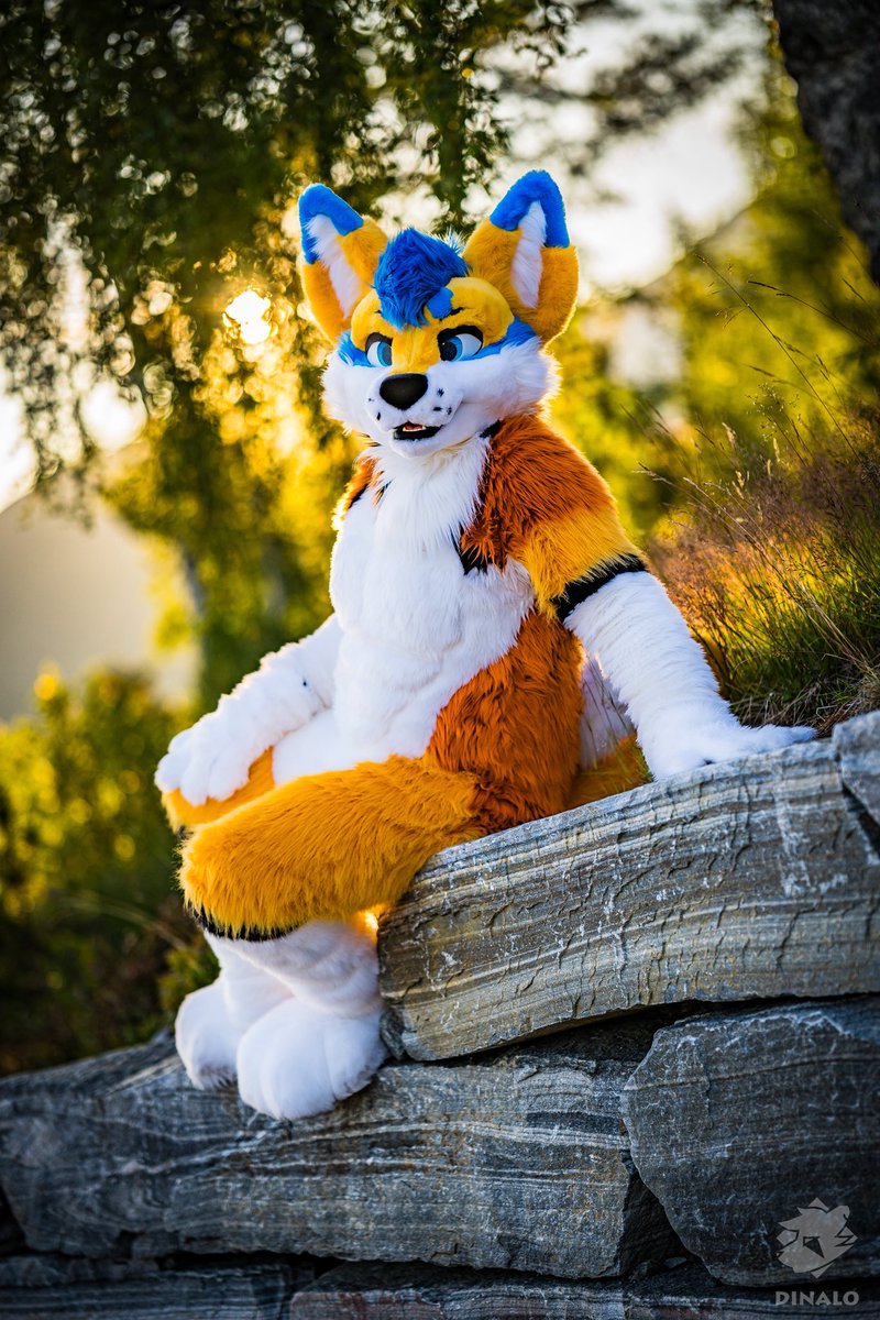 Dinalo❣️🦊 🔜 NFC (@dinalofoxxo) on Twitter photo 📸 Photographers, show some of YOUR OWN favorite work! 📸
I like this trend, so many gorgeous pictures to look at! 📸 Photographers, show some of YOUR OWN favorite work! 📸
I like this trend, so many gorgeous pictures to look at!