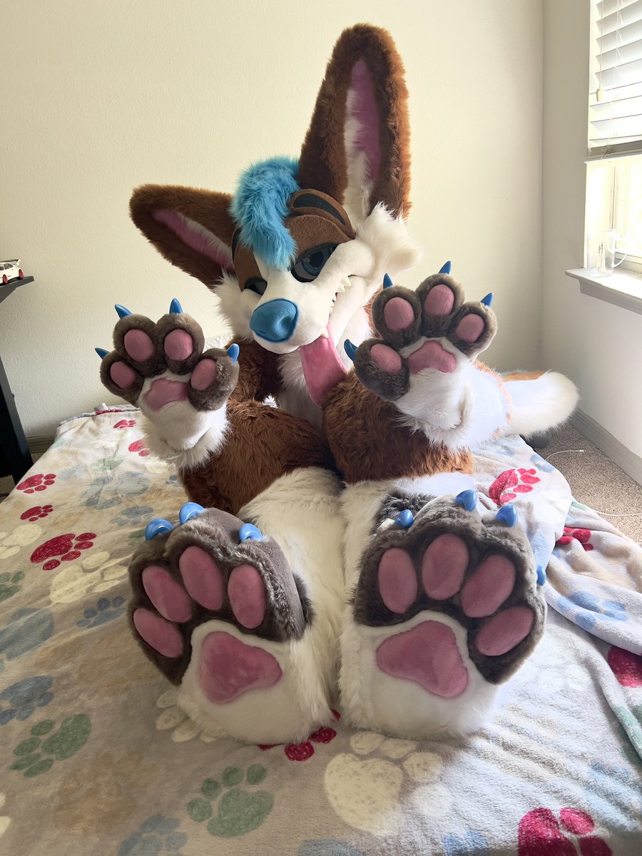 Bodie ! ๐ FWA (@_bodieblue) on Twitter photo arrff! have some paws for this #fursuitfriday ๐พ
๐ท: <a href="/xZephyrWolf/">๐๐ป๐ฃ. ๐ป๐๐๐๐ ๐</a>
๐ชก: <a href="/MoreFurLess/">More Fur Less</a> arrff! have some paws for this #fursuitfriday ๐พ
๐ท: <a href="/xZephyrWolf/">๐๐ป๐ฃ. ๐ป๐๐๐๐ ๐</a>
๐ชก: <a href="/MoreFurLess/">More Fur Less</a>