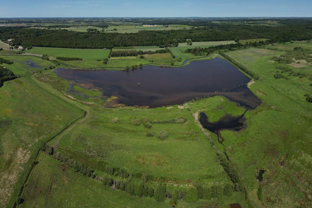 Biotope / Tormod Amundsen tweet media