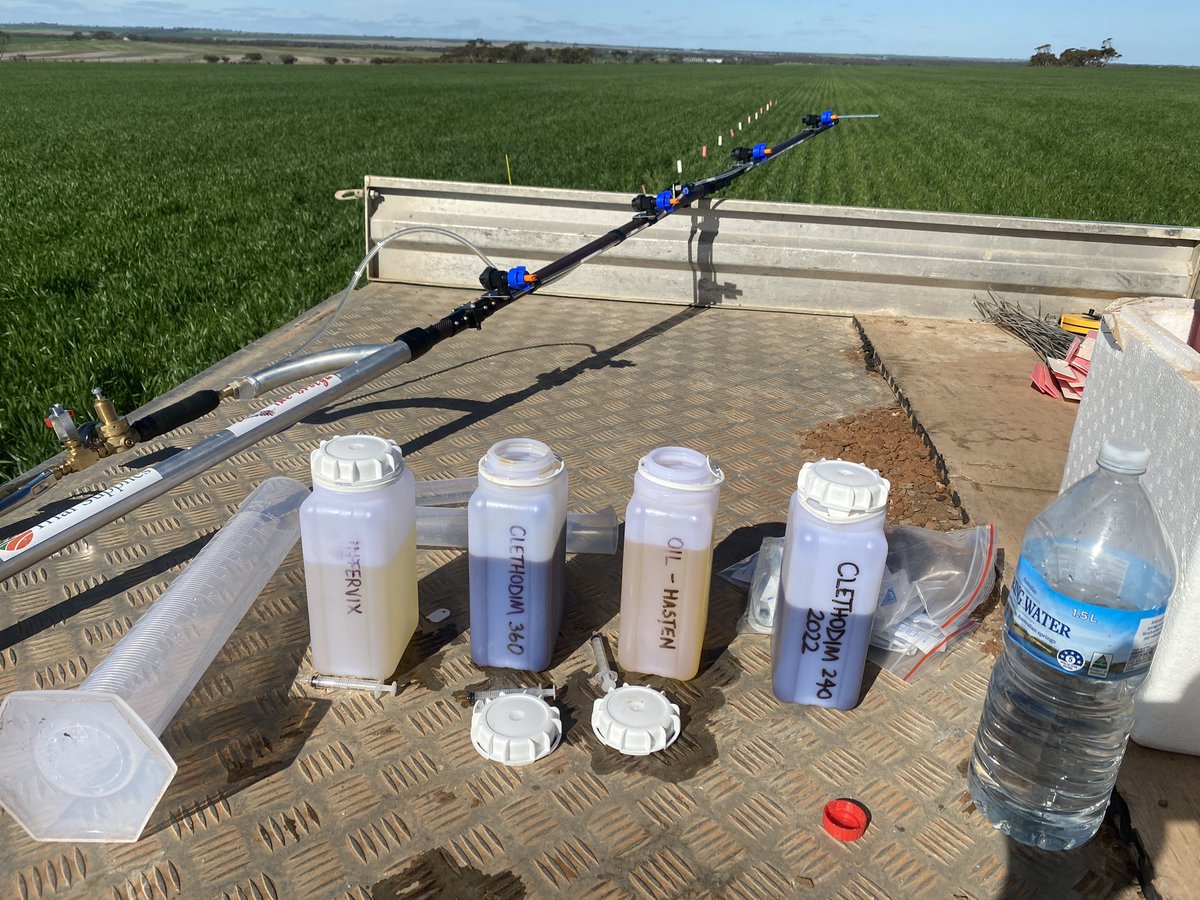 Chris Davey tweet media