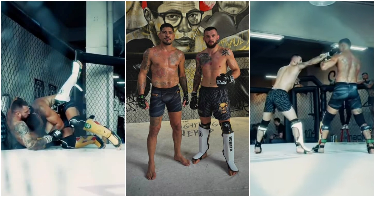 Chama! Migawka ze sparingu Alexa Pereiry z Cezarym Oleksiejczukiem (WIDEO) mmarocks.pl/alex-pereira/c…