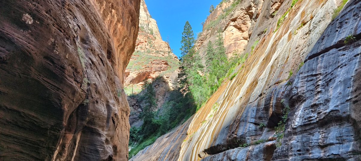 Kees Wolkendam tweet media