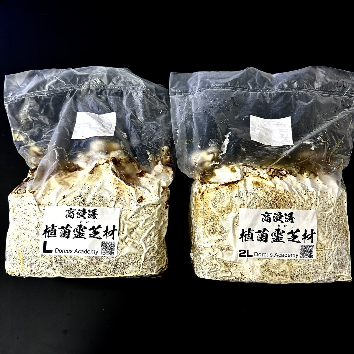 【高浸透　植菌霊芝材】

お世話になります。
標記の商品を少数ですがホームページにUPしました。

下記より購入可能です。
dorcus-academy.com/archives/categ…

当校では安定した良い結果が得られております。
