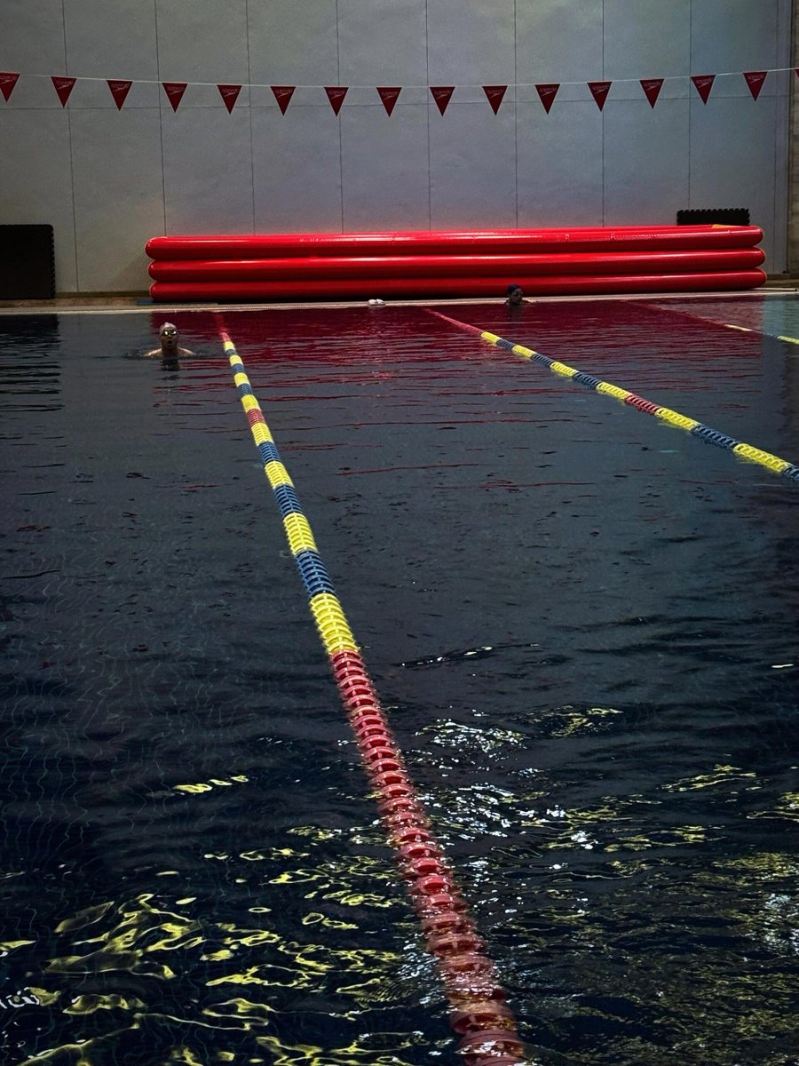 水泳は私と自然との最も親密な対話だ🌊🌱