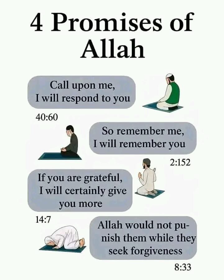 4 promises of Allah ♥️