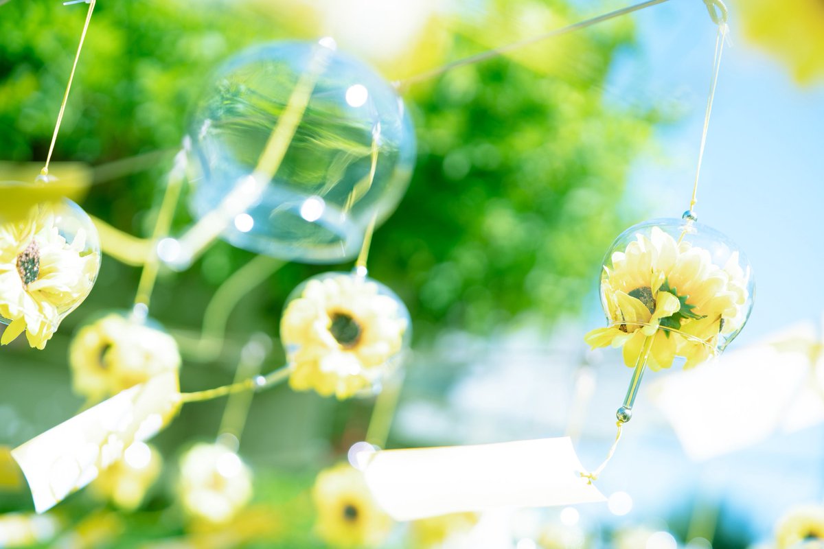 きんようびっ！
明日から長いお盆休みが始まる方も多いのでは🤭

夏🌻なのに、涼しげ🎐な写真をお届け📸
まあ実際は暑すぎて汗が滝でしたけどね笑

#みとぴっく