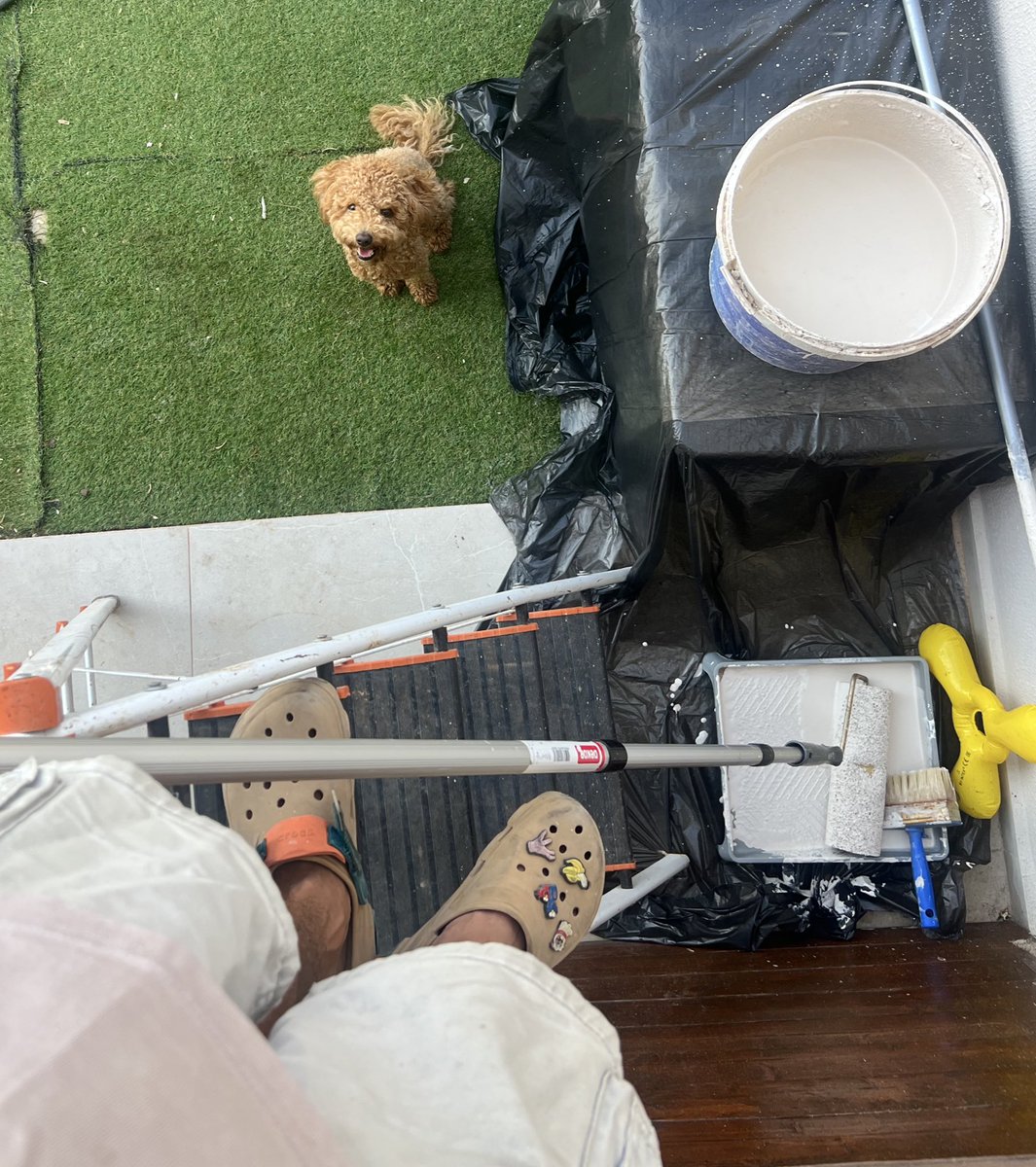 GM”
Todays guest! 🦴