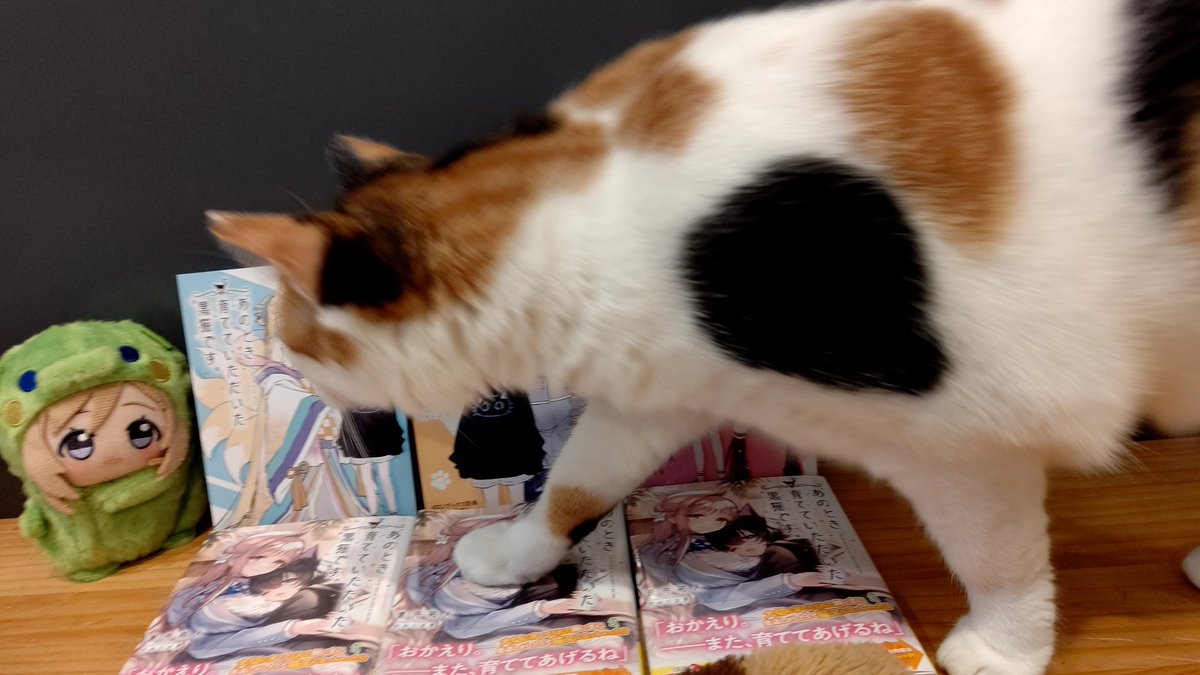 けいねこです ねこです。「SCP財団」新作グッズが10月17日に発売します。SCP