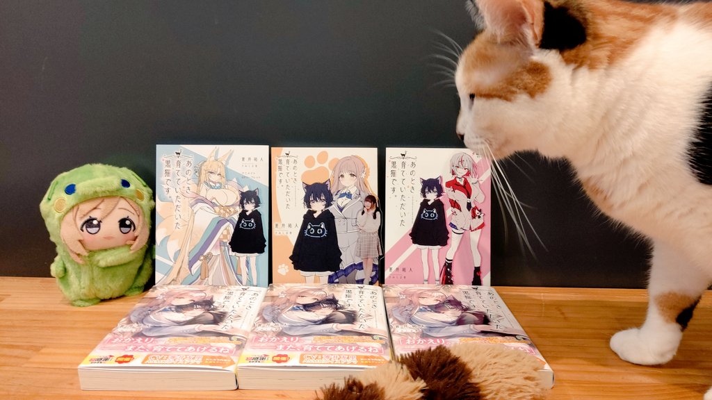 けいねこです けいと on X: 