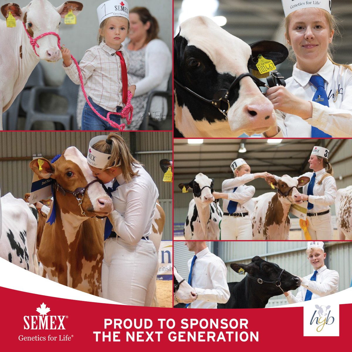 We are proud to be supporting the next generation of Holstein Young Breeders heading to the Weekend Rally this weekend! Good luck to all competitors! 🍀🏆
#geneticsforlife #proudsponsors