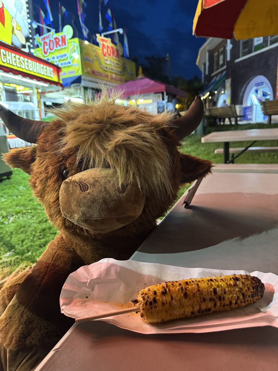 won a fair prize for the first time in my life except I’m in Iowa and he’s bigger than my carry-on