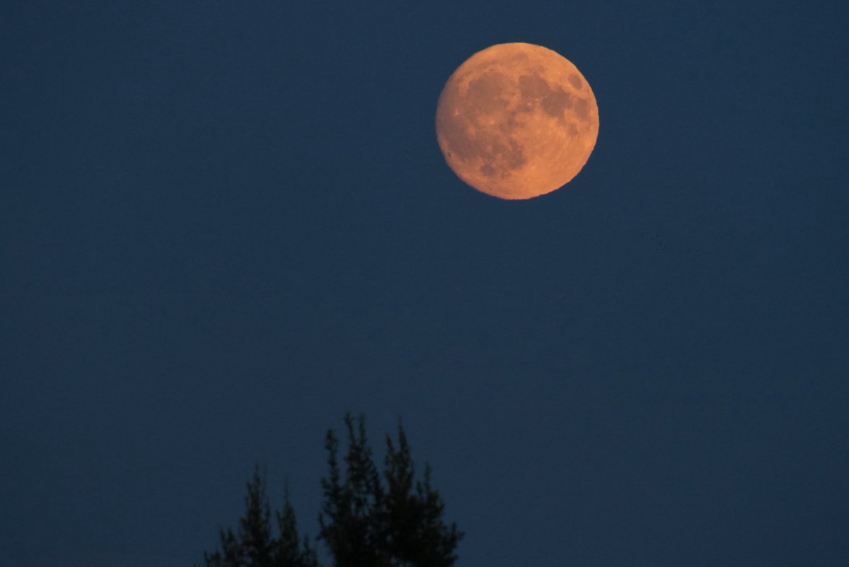 colochomorocho's tweet image. After all chasing the #SturgeonFullMoon tonight was fun  since tomorrow might be too dark to capture its glow! 🌕 #FullMoonVibes