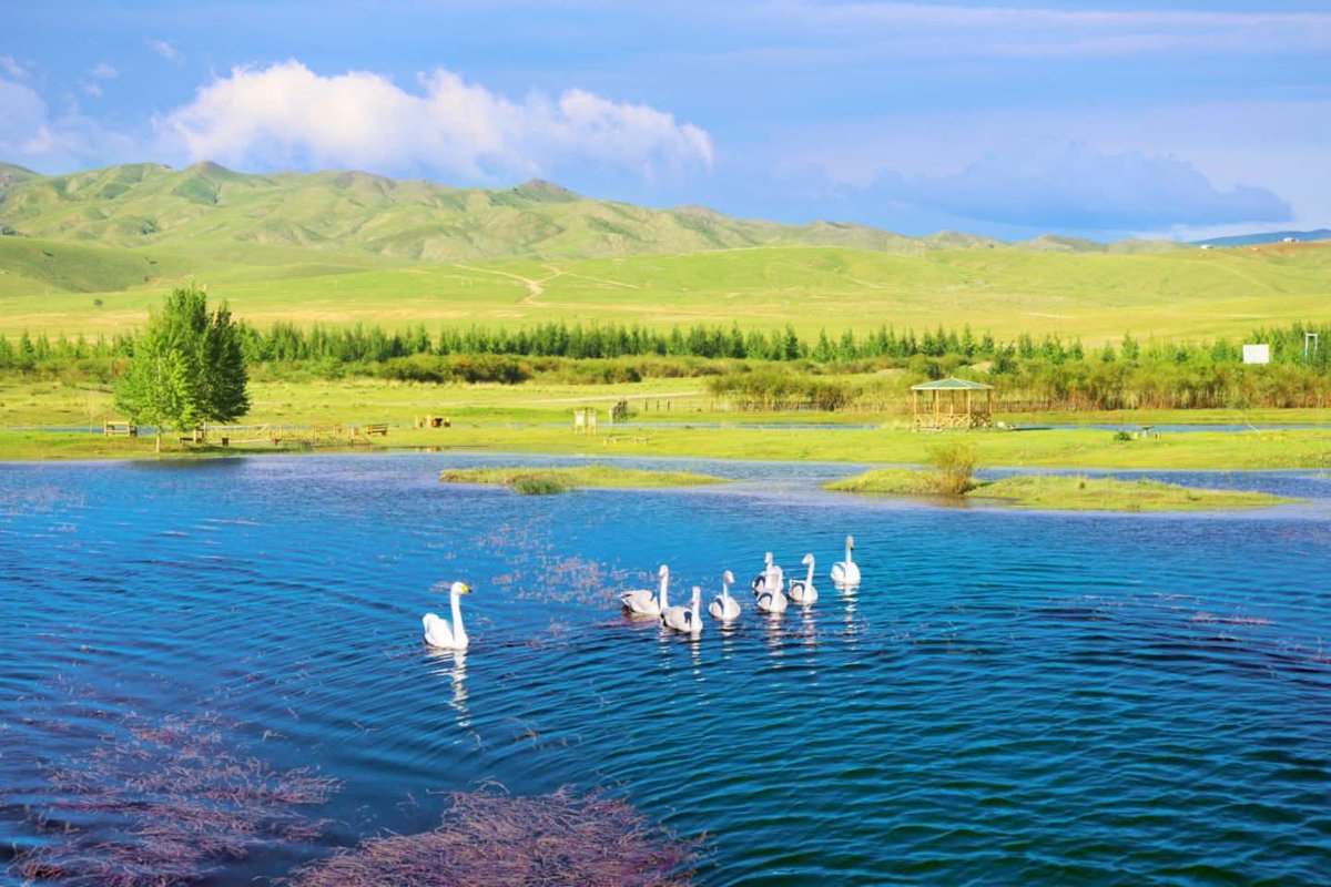 Монполeмэнт групп...Уурхайн нөхөн сэргээлт...Үлгэр жишээ болжээ...
Нуур үүсгэж шувууд ч ирдэг болжээ...Сэлбэ голоо ийм болгож чадах болов уу...