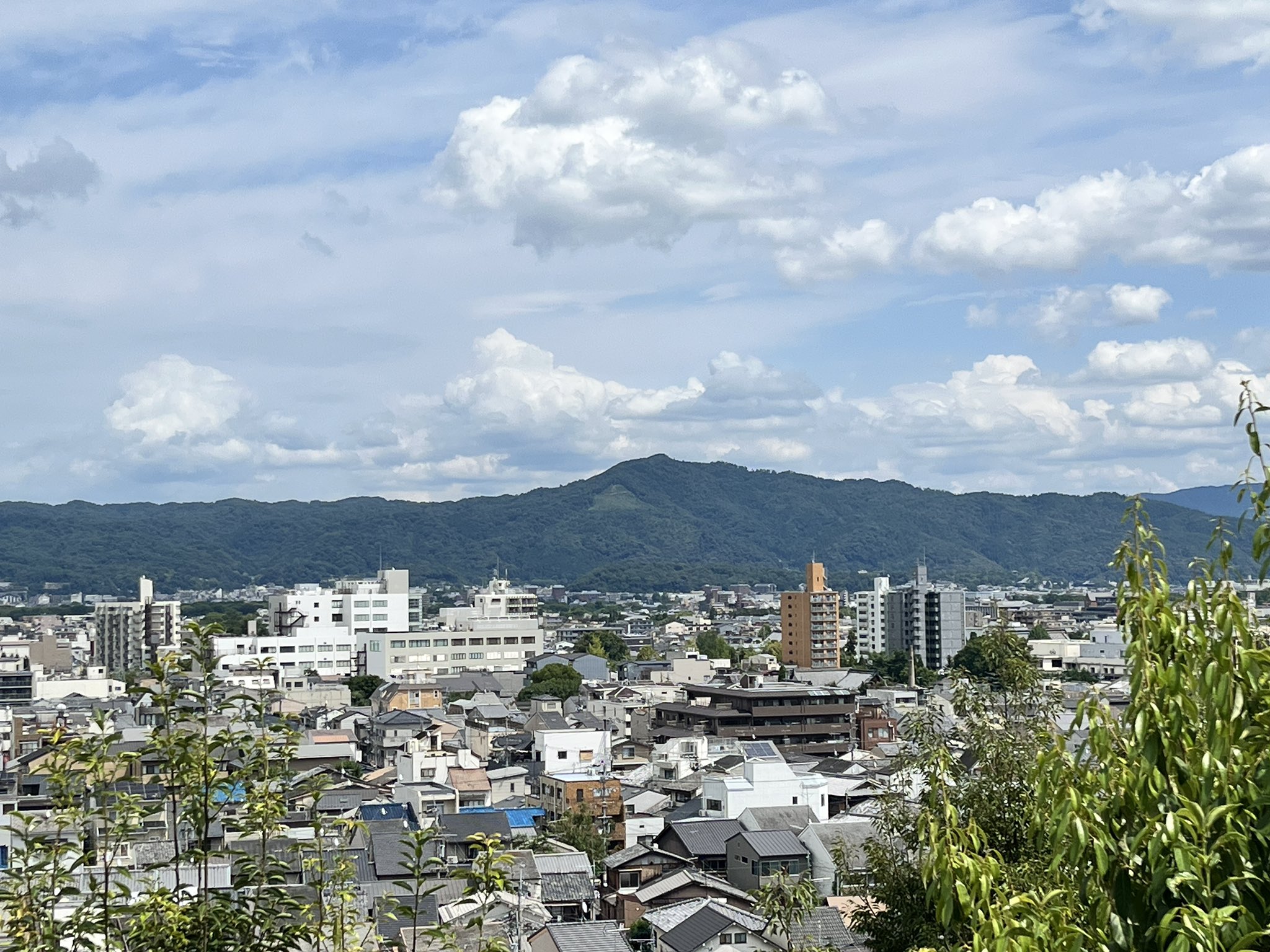Kyoto_4＠お城好き、京都市散歩中 on X: 