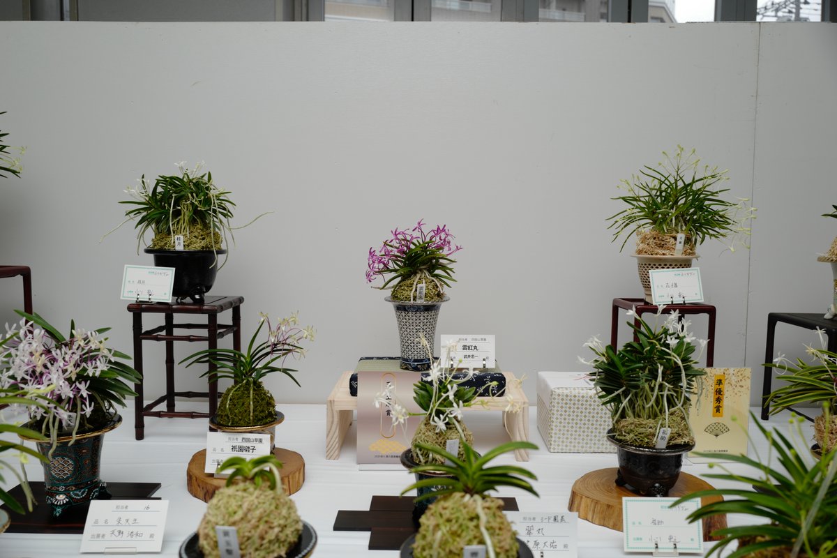 花卉園芸大百科 15 ラン 花卉園芸大百科 15 ラン 花卉園芸大百科