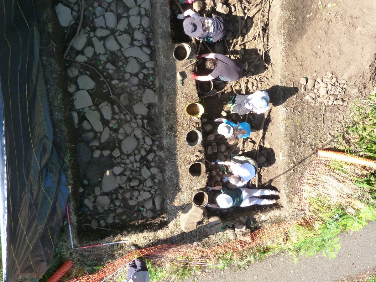 My latest blog all about FREE ARCHAEOLOGICAL DIGS round Stirling....why not join us?
open.substack.com/pub/stirlingar…