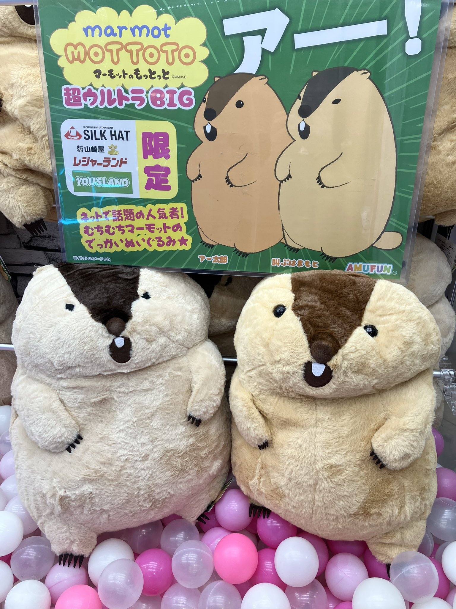 のもっとっと ウルトラBIG ぬいぐるみ 2種セット ≪7月の新商品