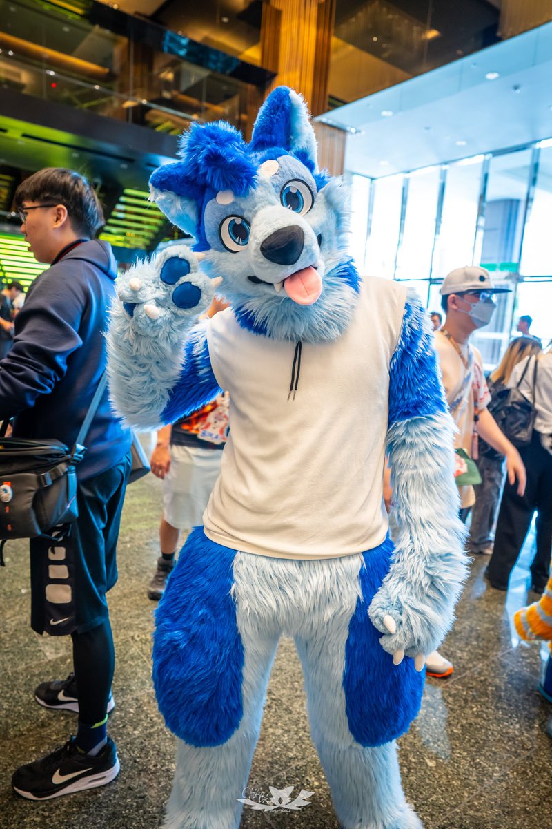 ✌️😛

📸 <a href="/MayT0602/">May (Chaba🦉) 🔜Kemocon</a>
🪡 <a href="/wolf_daz/">Daza 🔮 GOH BKB</a> 

#FursuitFriday