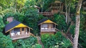 Want to make a difference? Bwindi offers eco-friendly accommodations that support local communities and conservation. Sleep in comfort knowing you're helping protect gorillas! bwindiforestnationalparkuganda.com   #bwindiimpenetrablepark
#bwindinationalpark
#bwindipark