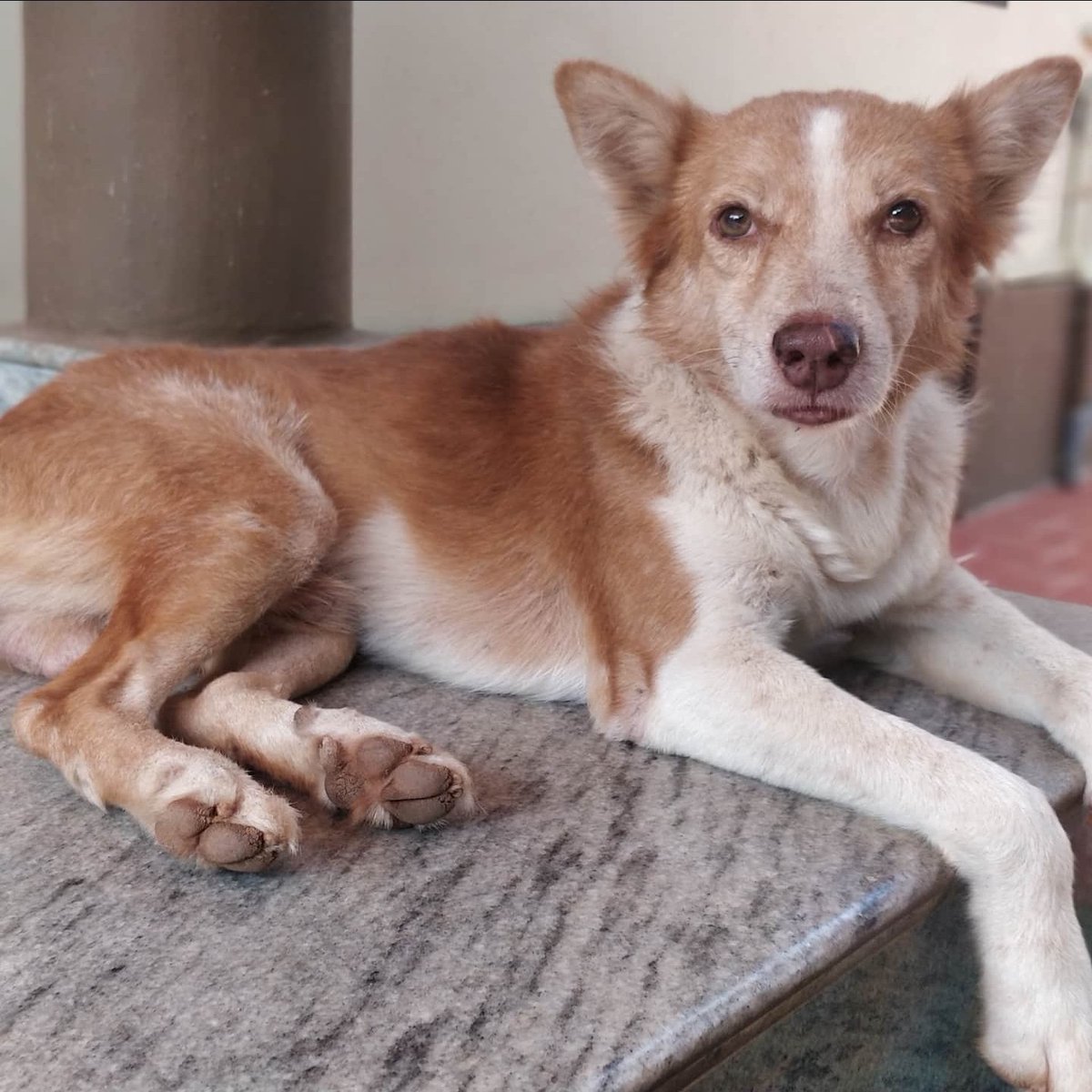 What's in a Name? tweet media