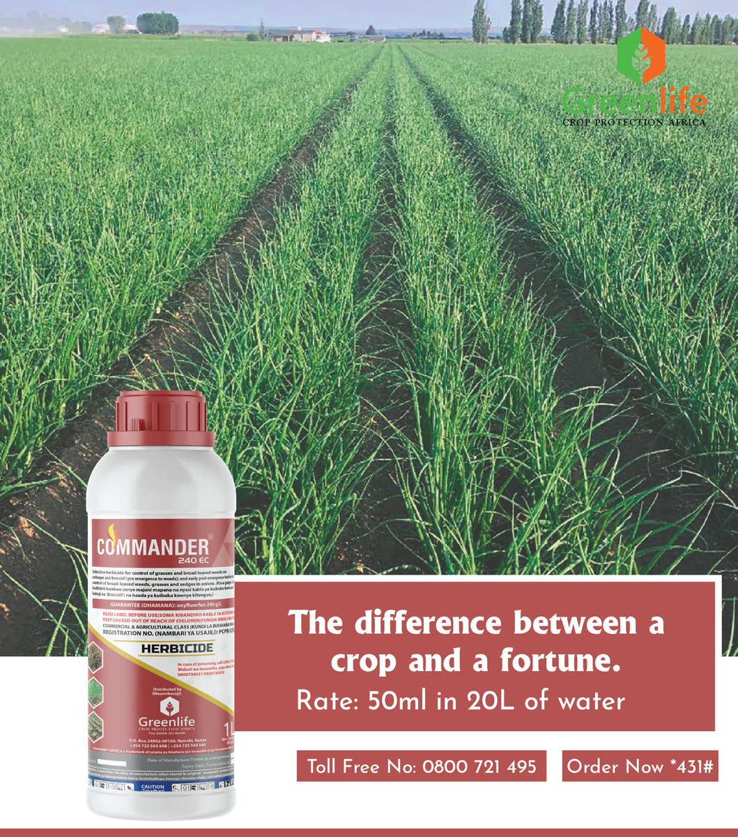In onion farming, the first 14 days after transplanting decide your harvest. Let weeds grow in this window, and you’ve already lost yield.
Commander 240EC gives your onions a clean start. Apply 50ml in 20L of water, 2–14 days after transplanting, to knock out young weeds before