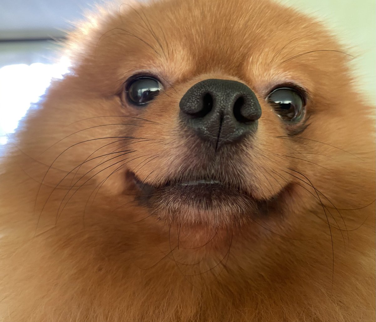 Я, карочє, ці дні буду спамити вам тут, бо хочу повернути усіх підписників  назад і порухати збір на авто. Потерпіт мою активність ще трошки, будь ласочка 👉👈

На авто для 17 ОТМБр

🔗Посилання на банку
send.monobank.ua/jar/6tRUsk5sCw

💳Номер картки банки
4441 1111 2688 0396