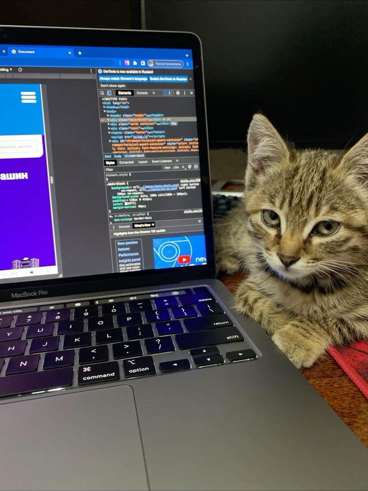 gragg_don's tweet image. 