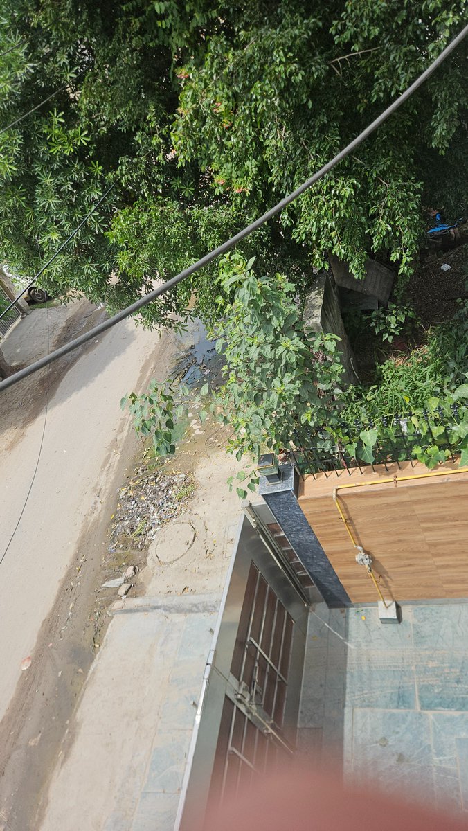 NumberSequence's tweet image. Sever overflow, clogged drains, garbage on road outside F-57 Sector 51 Noida. Try fixing this. 
@CeoNoida @noida_authority