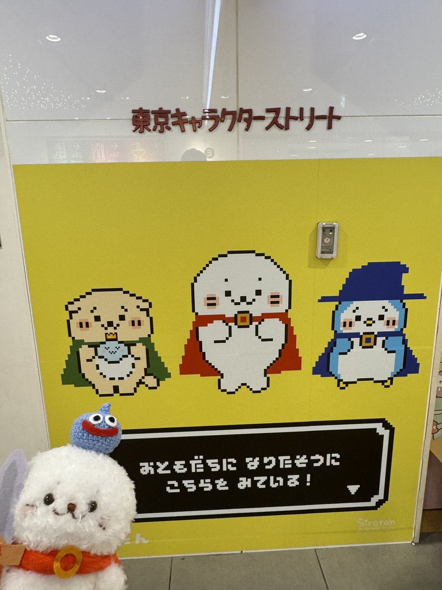 ぽてぽてたんお迎え出来ました〜㊗️🎉
#sirotan
#しろたん