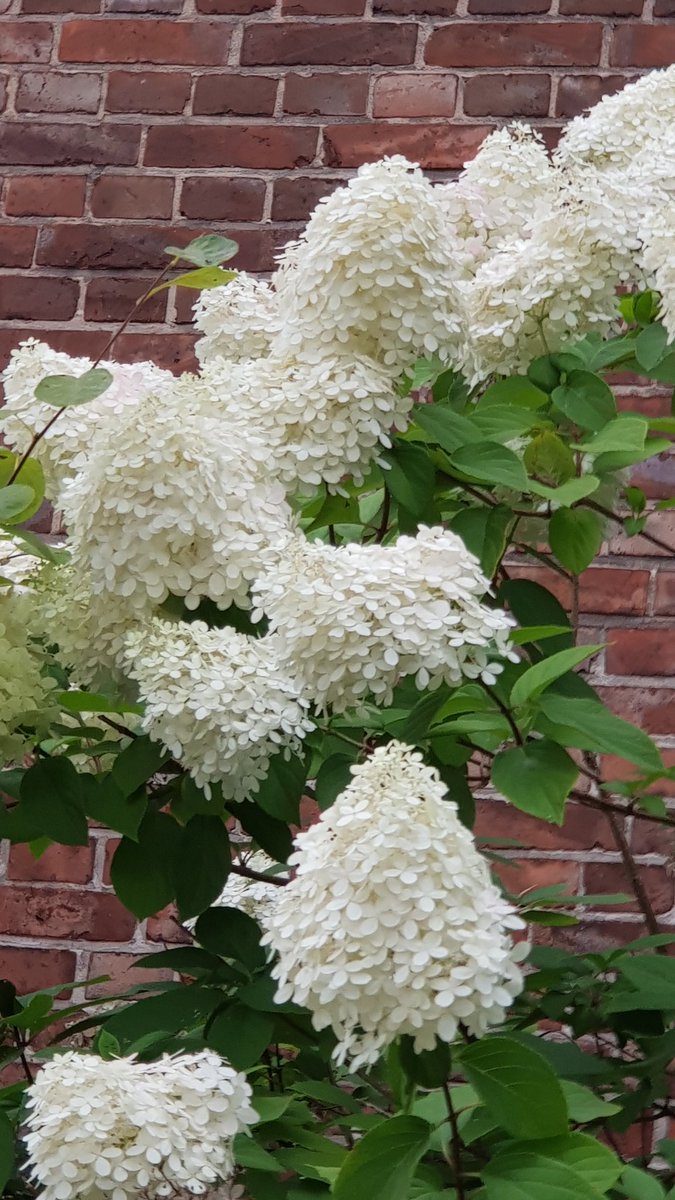 Daesy55676957's tweet image. 🌞😹