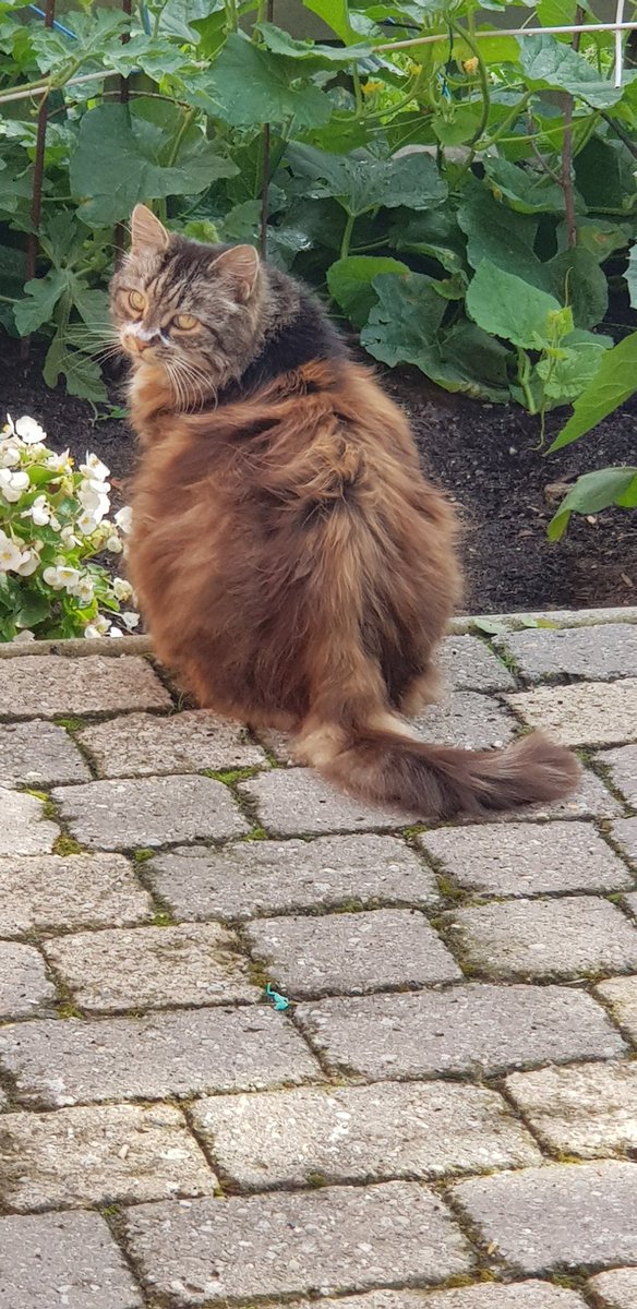 Daesy55676957's tweet image. 🌞😹