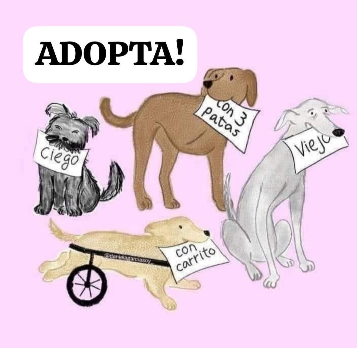 Rincón Curioso (@rincncuriosoo) on Twitter photo 