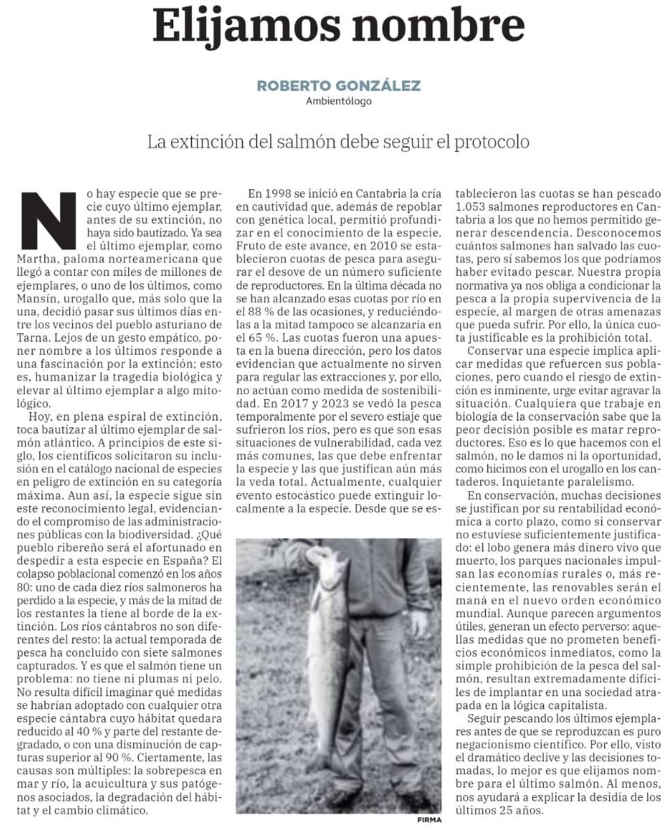 Tribuna de opinión "Elijamos nombre" en el Diario Montañés de Rober G García sobre los últimos ejemplares de Salmón en España.
eldiariomontanes.es/opinion/robert…