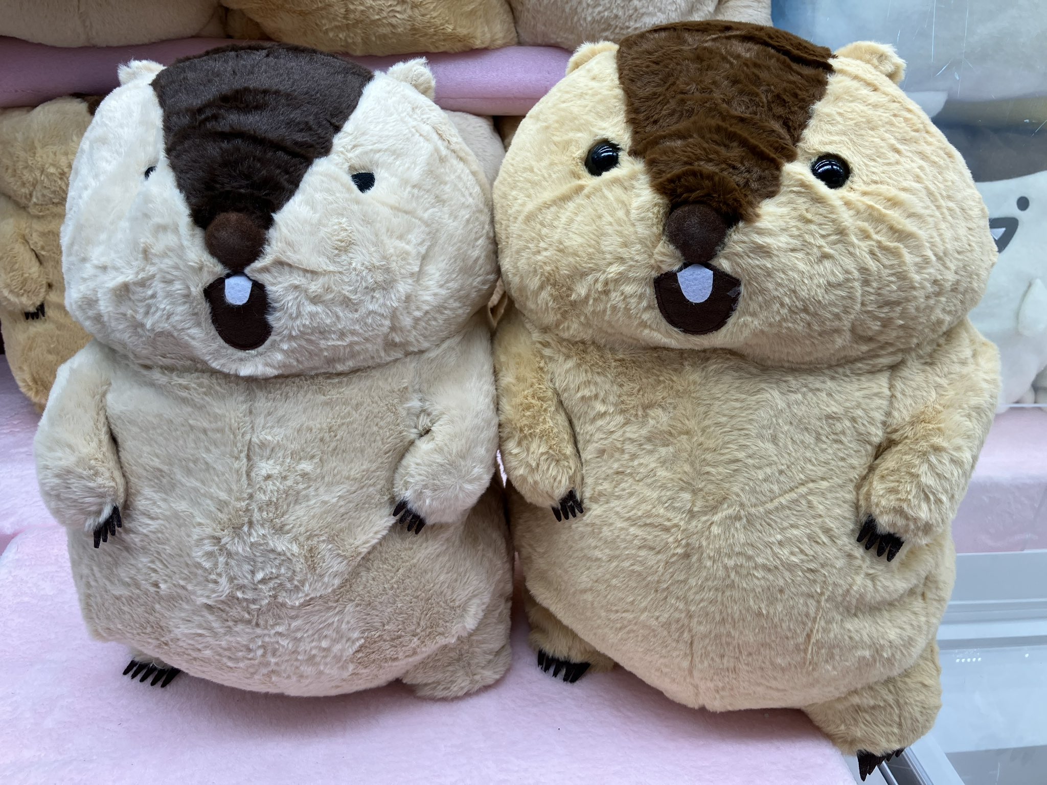 極美品✨マックスマーラ 23AW 白タグ　ミンク　ぽんぽん　ハット　リアルファー 極美品 マックスマーラ 23AW 白タグ ミンク ぽんぽん ハット