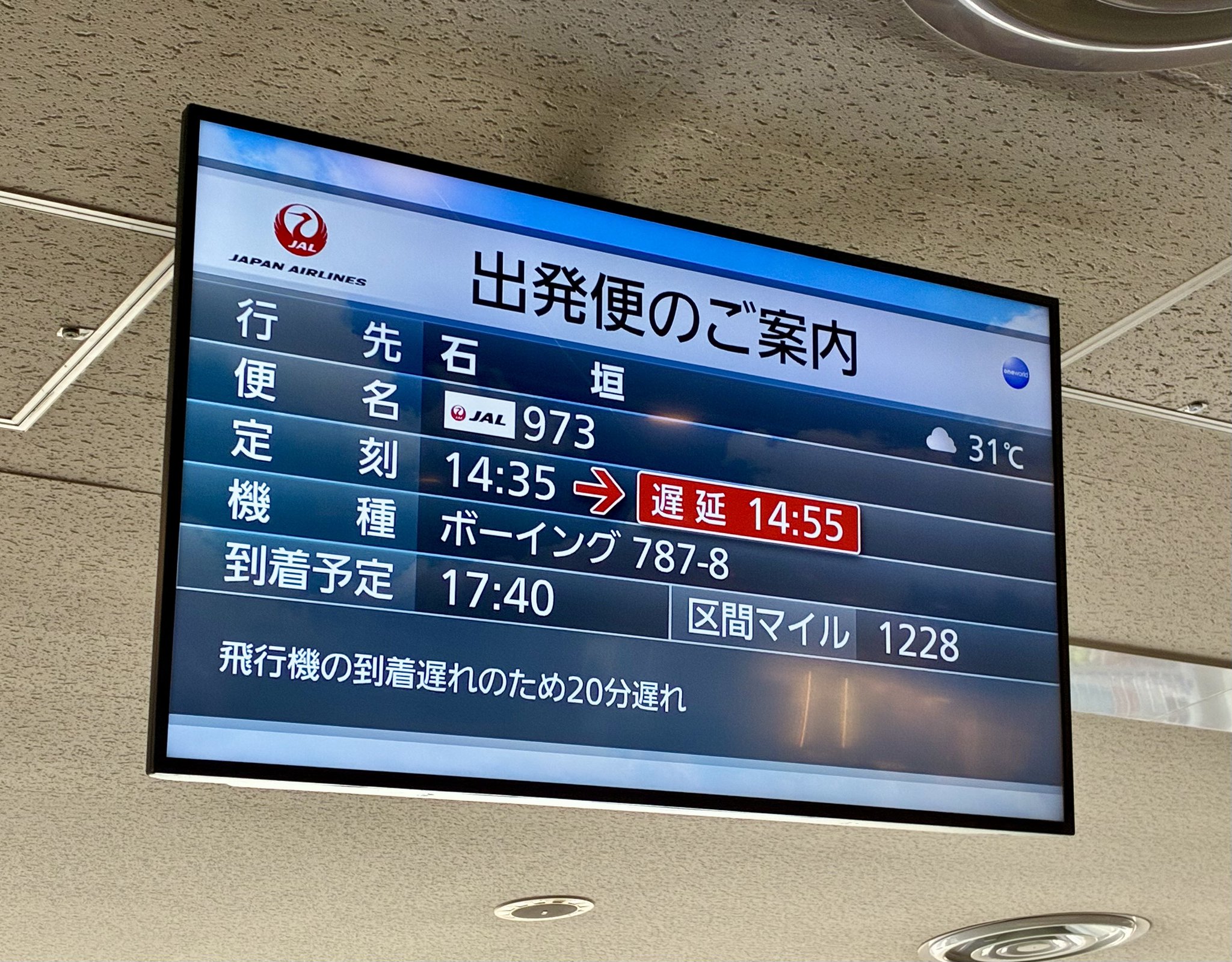 Rakutao公式アカウント01 RT-145857 たぬきち on X: 