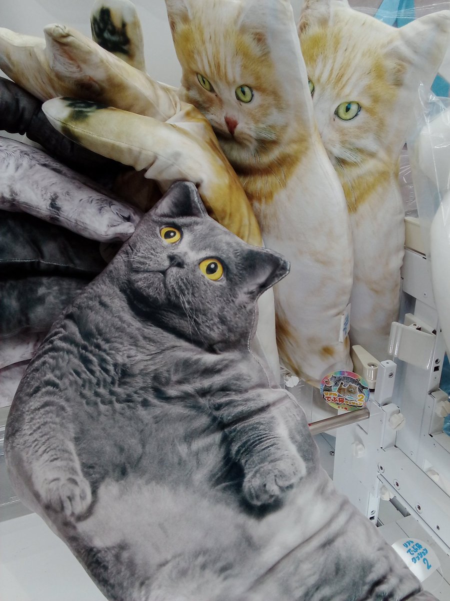 リアルでぶ猫クッション リアルでぶ猫クッション | オンラインクレーンゲーム「アラクレ」