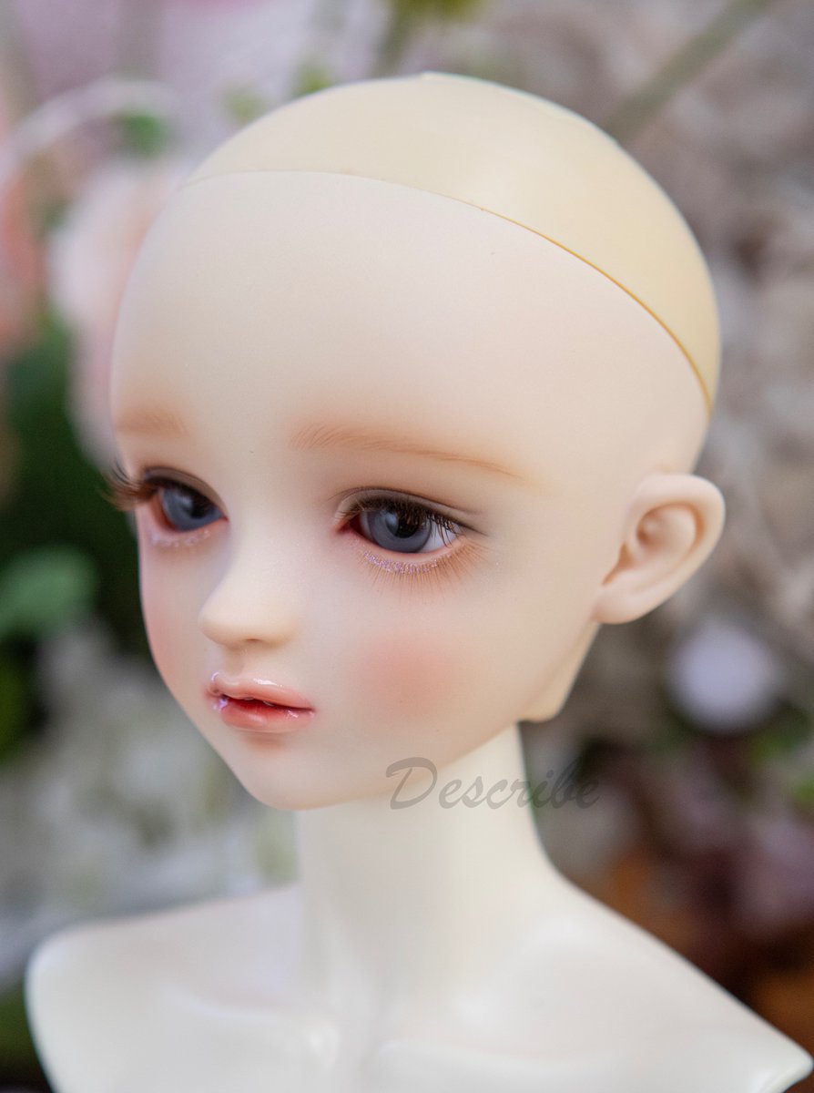 Volks Liz