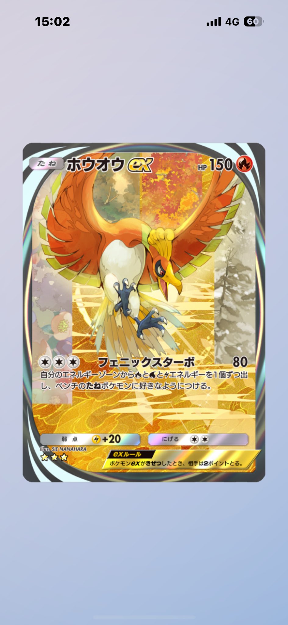 さん 専用鳳凰ルギア 228/XY-P ルギア： スペシャルセット ホウオウ+ルギア | XY-P