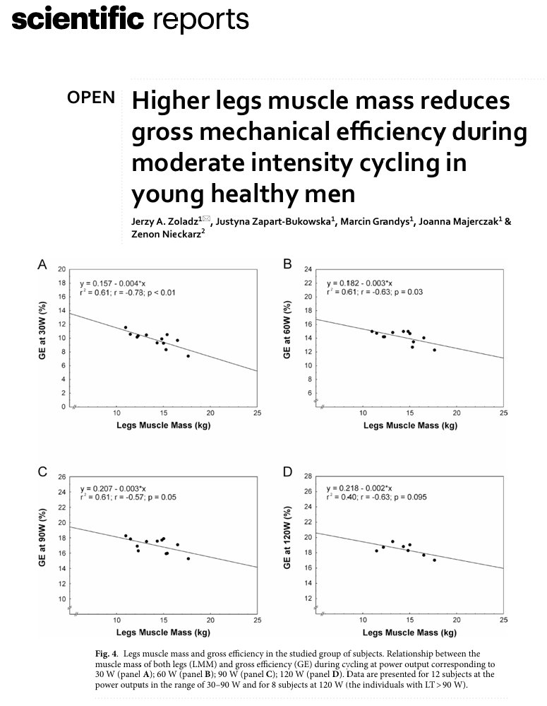 This one found greater muscle mass to be associated with poorer gross muscle mechanical efficiency during moderate-intensity cycling.