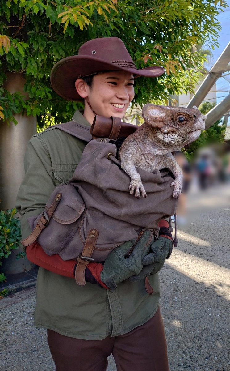 ドロレス アクイロプス成長した恐竜 小さくてとっても可愛い