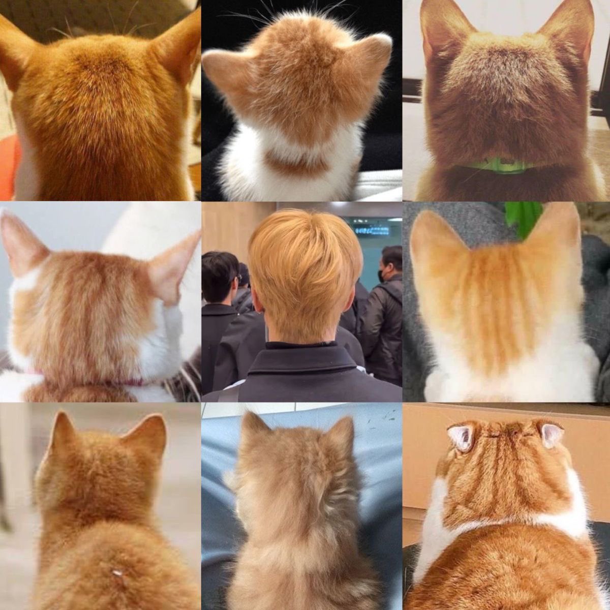 ㅂㄷ (@_7726_ding) on Twitter photo 