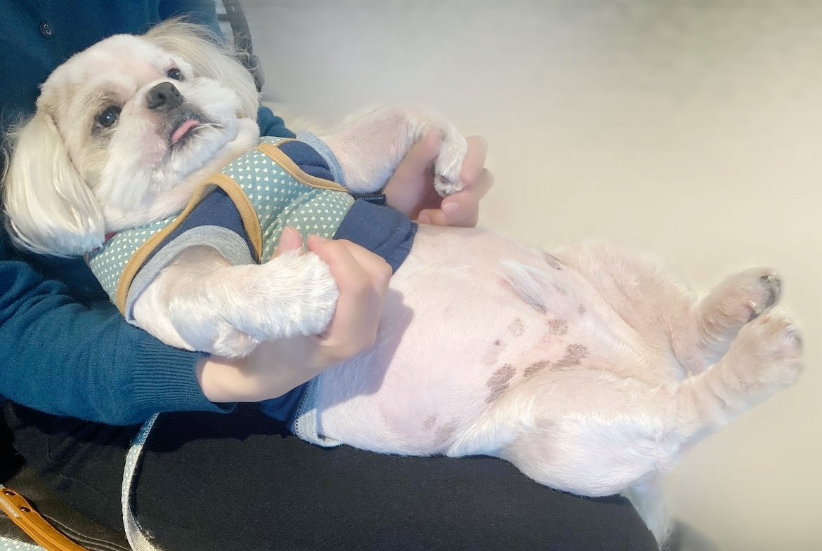 手を繋ぐと即トロﾘｧ