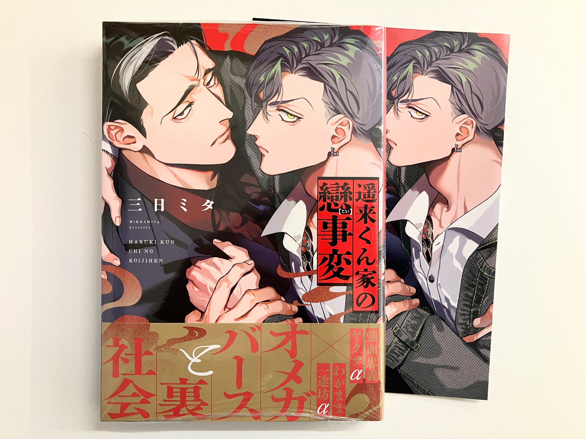 おかえり、初恋。(3) アニメイト限定セットPremium　リーフレット付 おかえり、初恋。(3) アニメイト限定セットPremium リーフレット