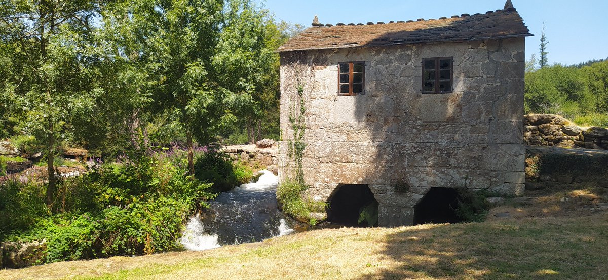 Capítulo LI de minisendeiro Miñoco pra pasar un ratiño pensando nas tuas cousas,ou non .Ruta da fervenza en O Corgo,Lugo.<a href="/presumeDgalicia/">Presume de Morriña</a> <a href="/disfrutagalicia/">Disfruta de Galicia</a> <a href="/Turgalicia/">Turismo de Galicia</a> <a href="/GaliciaMaxica/">Galicia Máxica</a> <a href="/SESEIXA/">Seseixa</a> @turvegal <a href="/TurismoGalicia1/">TurismoGalicia1</a> <a href="/loves_galicia/">Loves_galicia 🛰️ #fainoengalego</a> <a href="/OrgulloGalegoGz/">OrgulloGalego</a> <a href="/paseargalicia/">PasearGalicia</a> <a href="/SecretGalicia/">Secret Galicia</a>