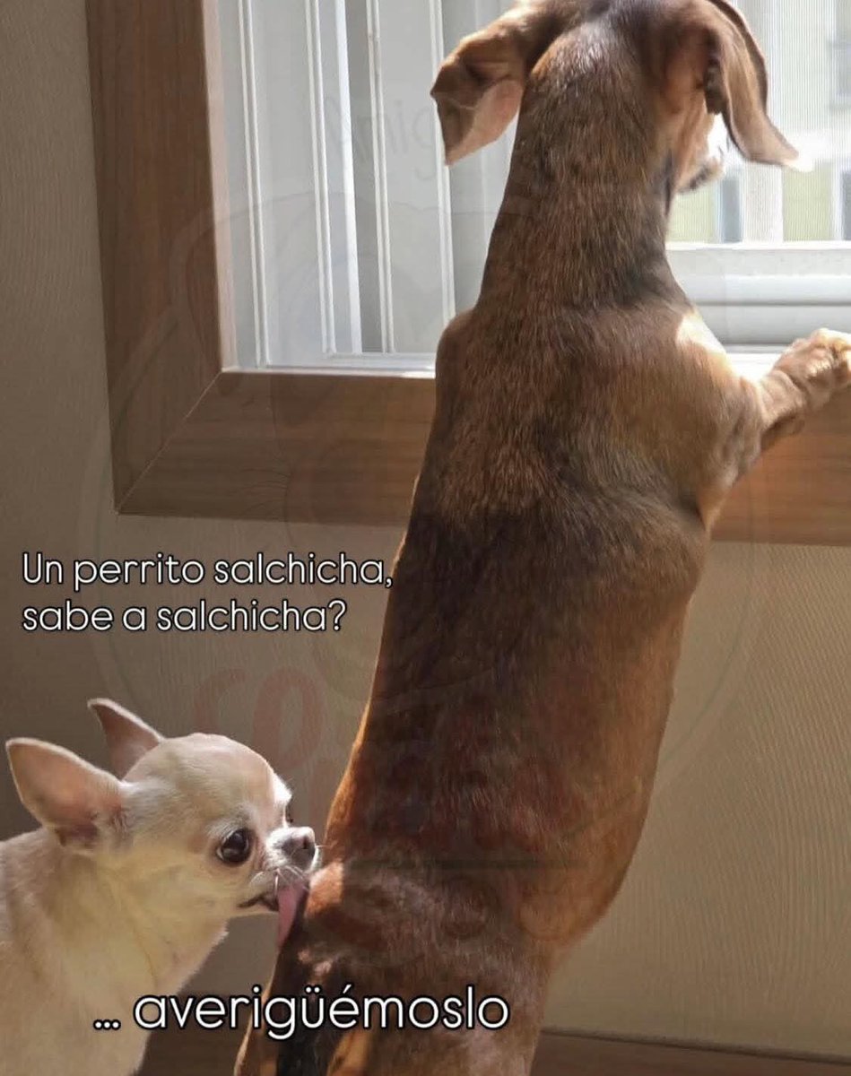 Uriel (@uriel66689314) on Twitter photo Feliz viernes! <a href="/nydiacervera/">Nydia Cervera</a> <a href="/Marilu86053/">Marilú 💕🐘🐘🐘💕 🇲🇽</a> <a href="/addy_pink/">Pinky</a> <a href="/U_PLATEROS/">UH Plateros</a> <a href="/antymob/">Miss Anty Mobarak</a> <a href="/mtz_tt/">B€TT¥ ツ</a> <a href="/DaliaMRocha/">Yaya Rocha</a> <a href="/EYACAR65/">EYA</a> <a href="/EsEstra/">A L I 🐾</a> <a href="/lasaguis/">lasg</a> <a href="/LETICIA777/">LETICIA TORRES</a> <a href="/Negra_start/">Ⓝⓔⓖⓡⓐ</a> @JohannaLizalde <a href="/rumabo1/">Pata perruna 🐾🐾</a> <a href="/MARLENE_STAHL/">MARLENE 🦋</a> <a href="/Hera_Sea/">★ FRECDA, CAPÍTULO SAN LUIS POTOSÍ</a> <a href="/Vivalyk/">♓⭐🍒 Bárbariux 🍒⭐❤&💫</a> <a href="/akyoshi09/">Fabiola</a> <a href="/hidra881/">Teresa Velazquez Rodriguez</a> <a href="/duky1107/">Claudia</a> @Pip <a href="/CasLaaU/">Soy Lau. 💜🍉</a> <a href="/MxActivista/">🐾ActivistaMX🌎</a> <a href="/1pantonio/">Antonio Palacios: Las mujeres no tienen pene</a> Feliz viernes! <a href="/nydiacervera/">Nydia Cervera</a> <a href="/Marilu86053/">Marilú 💕🐘🐘🐘💕 🇲🇽</a> <a href="/addy_pink/">Pinky</a> <a href="/U_PLATEROS/">UH Plateros</a> <a href="/antymob/">Miss Anty Mobarak</a> <a href="/mtz_tt/">B€TT¥ ツ</a> <a href="/DaliaMRocha/">Yaya Rocha</a> <a href="/EYACAR65/">EYA</a> <a href="/EsEstra/">A L I 🐾</a> <a href="/lasaguis/">lasg</a> <a href="/LETICIA777/">LETICIA TORRES</a> <a href="/Negra_start/">Ⓝⓔⓖⓡⓐ</a> @JohannaLizalde <a href="/rumabo1/">Pata perruna 🐾🐾</a> <a href="/MARLENE_STAHL/">MARLENE 🦋</a> <a href="/Hera_Sea/">★ FRECDA, CAPÍTULO SAN LUIS POTOSÍ</a> <a href="/Vivalyk/">♓⭐🍒 Bárbariux 🍒⭐❤&💫</a> <a href="/akyoshi09/">Fabiola</a> <a href="/hidra881/">Teresa Velazquez Rodriguez</a> <a href="/duky1107/">Claudia</a> @Pip <a href="/CasLaaU/">Soy Lau. 💜🍉</a> <a href="/MxActivista/">🐾ActivistaMX🌎</a> <a href="/1pantonio/">Antonio Palacios: Las mujeres no tienen pene</a>