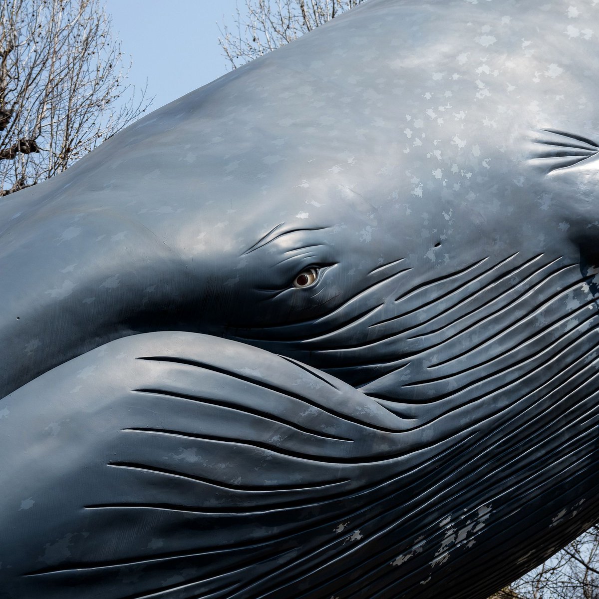 Lewis Bush tweet media