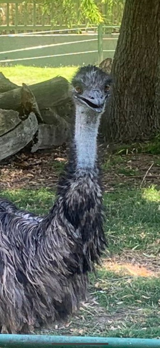 “Avgat hanım nasıl 8 ay yatacağım ben” (18 suç kaydı)