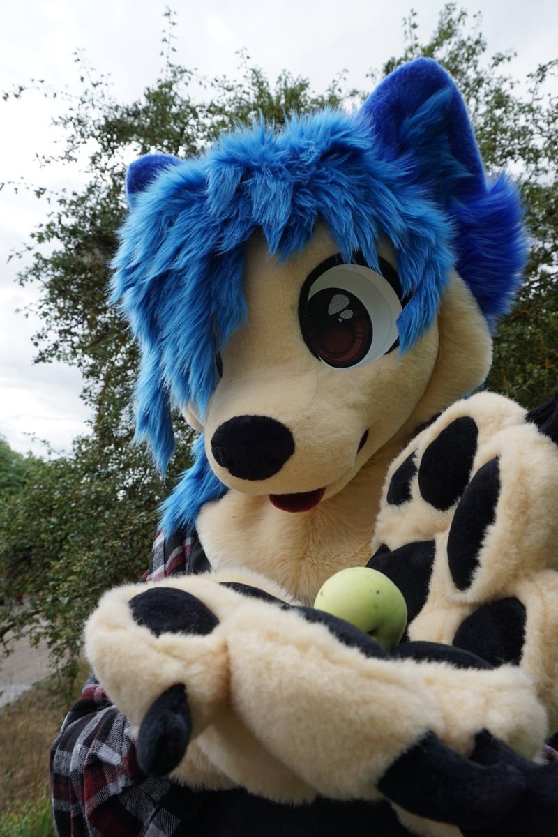 enviousgrey's tweet photo. #FursuitFriday https://t.co/LKGLBL4jny