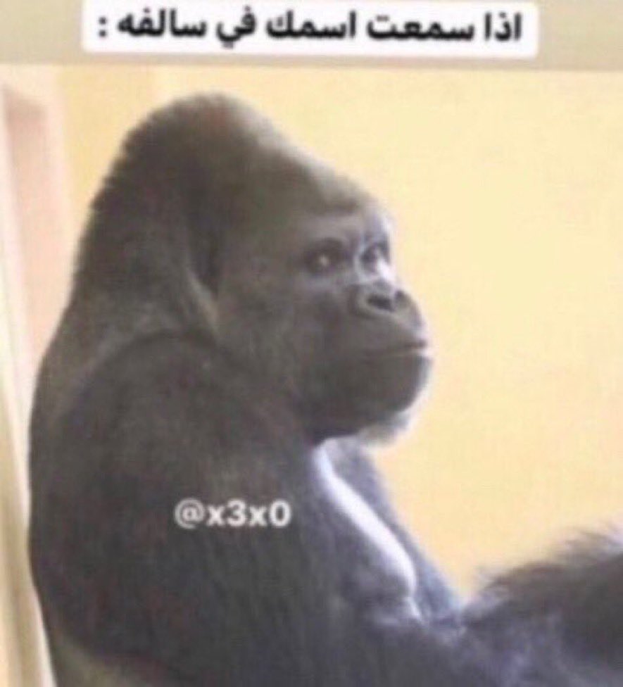 Yazeed (@yazee17d) on Twitter photo 