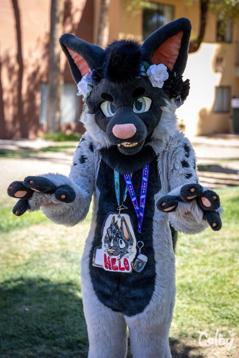 Looking at you and wagging my tail so hard rn 🤍
Happy ##FursuitFriday